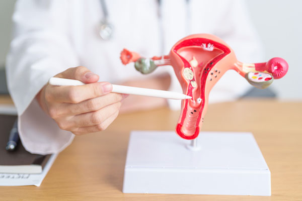 Basic Fertility Treatments - Ramkrishna IVF Centre