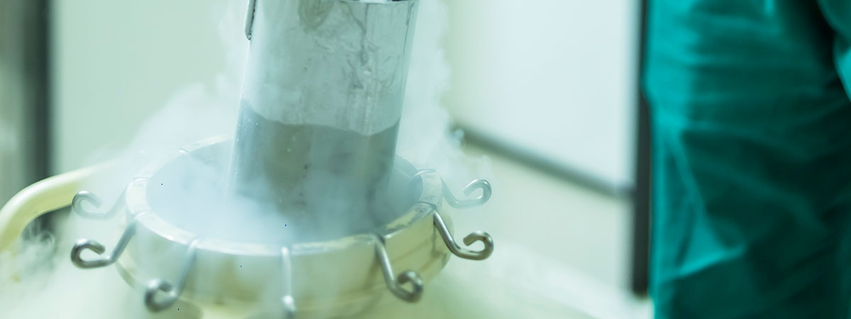 Sperm, Ovum & Embryo Freezing (Vitrification) - Ramkrishna IVF Centre