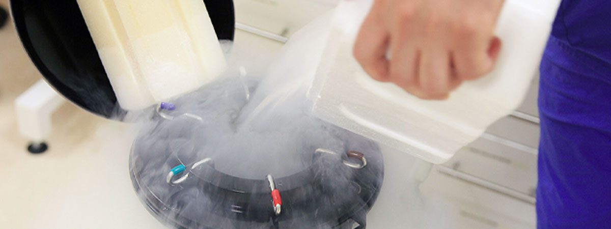 Frozen Embryo Transfer - Ramkrishna IVF Centre