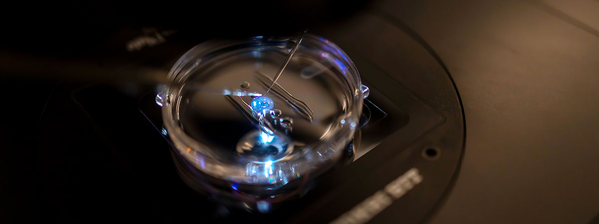 Intracytoplasmic Morphologically Sperm Injection - Ramkrishna IVF Centre