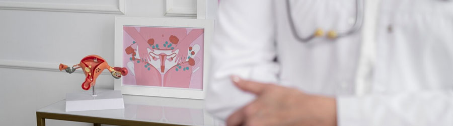 Endometrium Receptivity